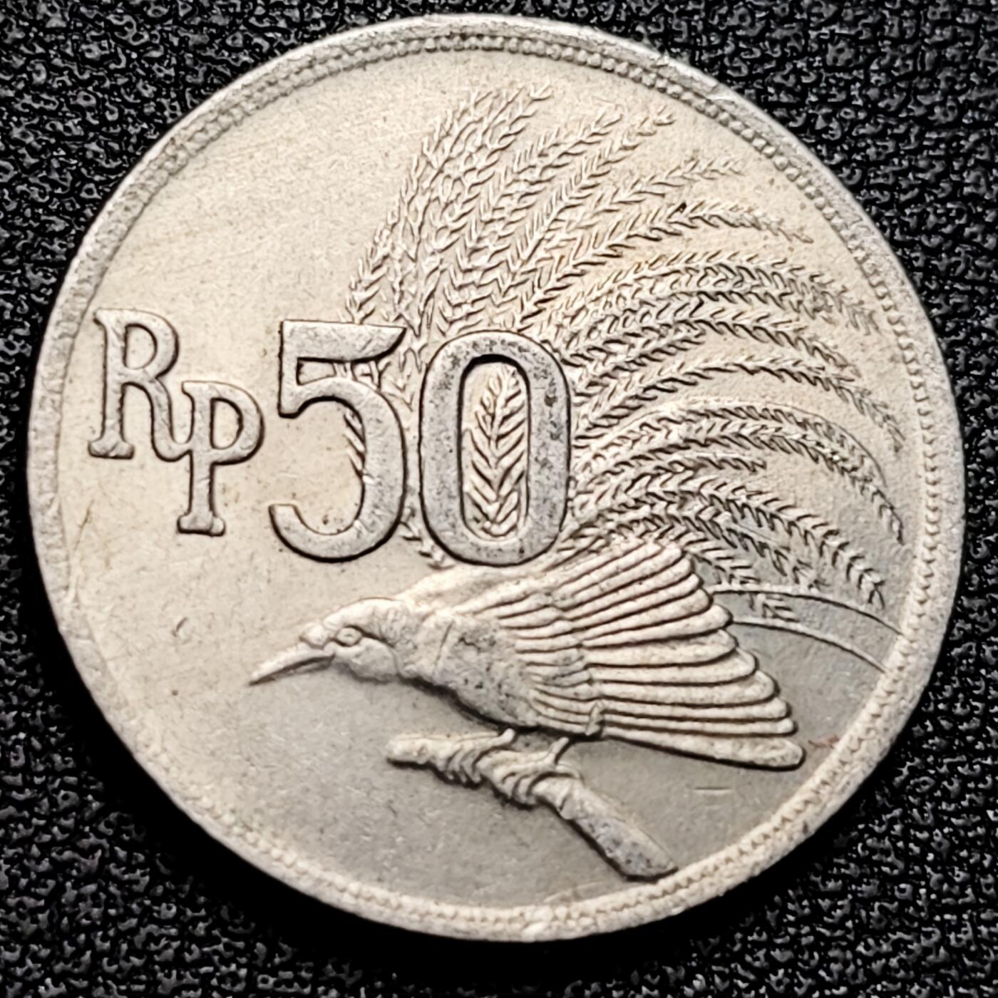 泉币菌-第178场- 精品福利场 。