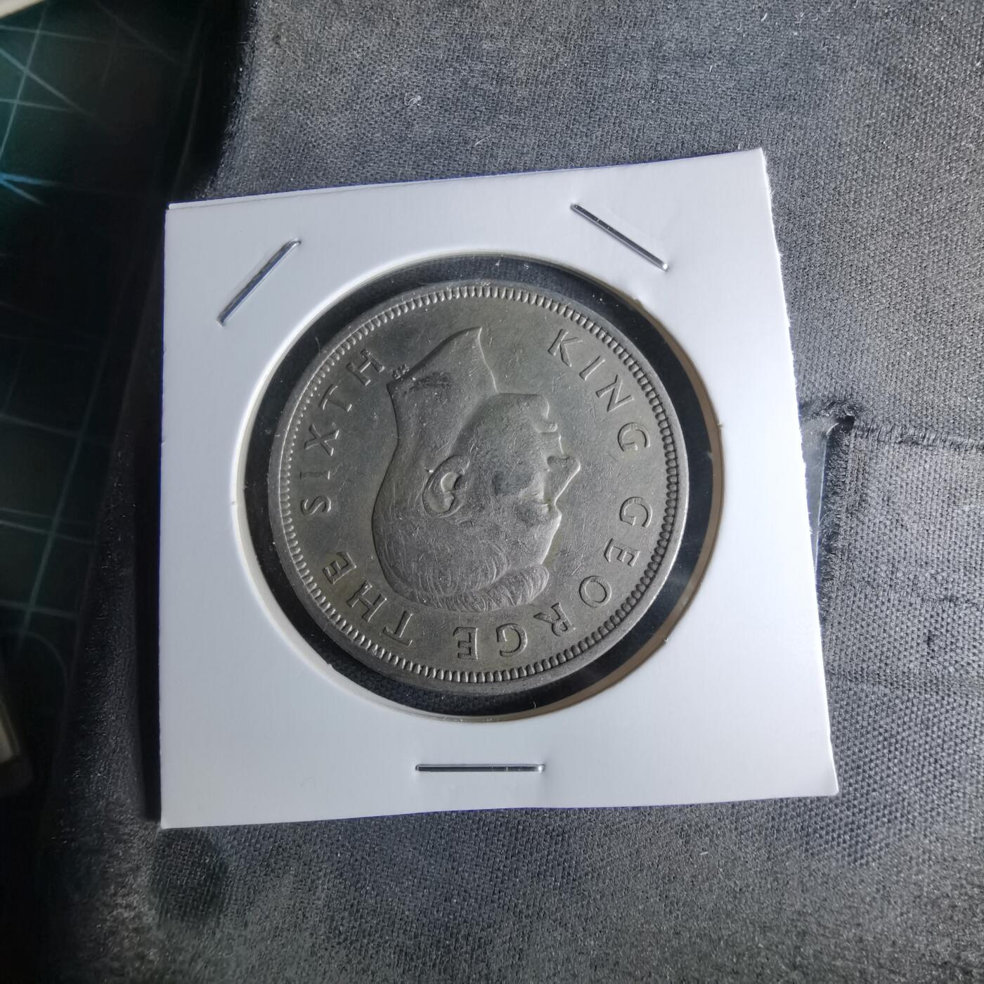 沼泽如烟--第979场