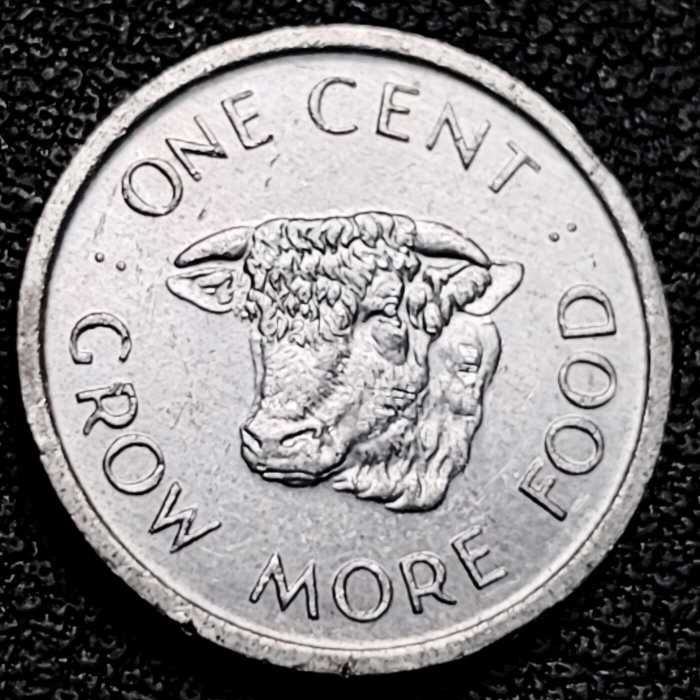 泉币菌-第178场- 精品福利场 。