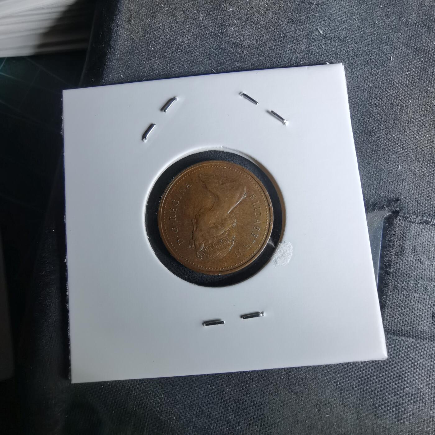 沼泽如烟--第978场