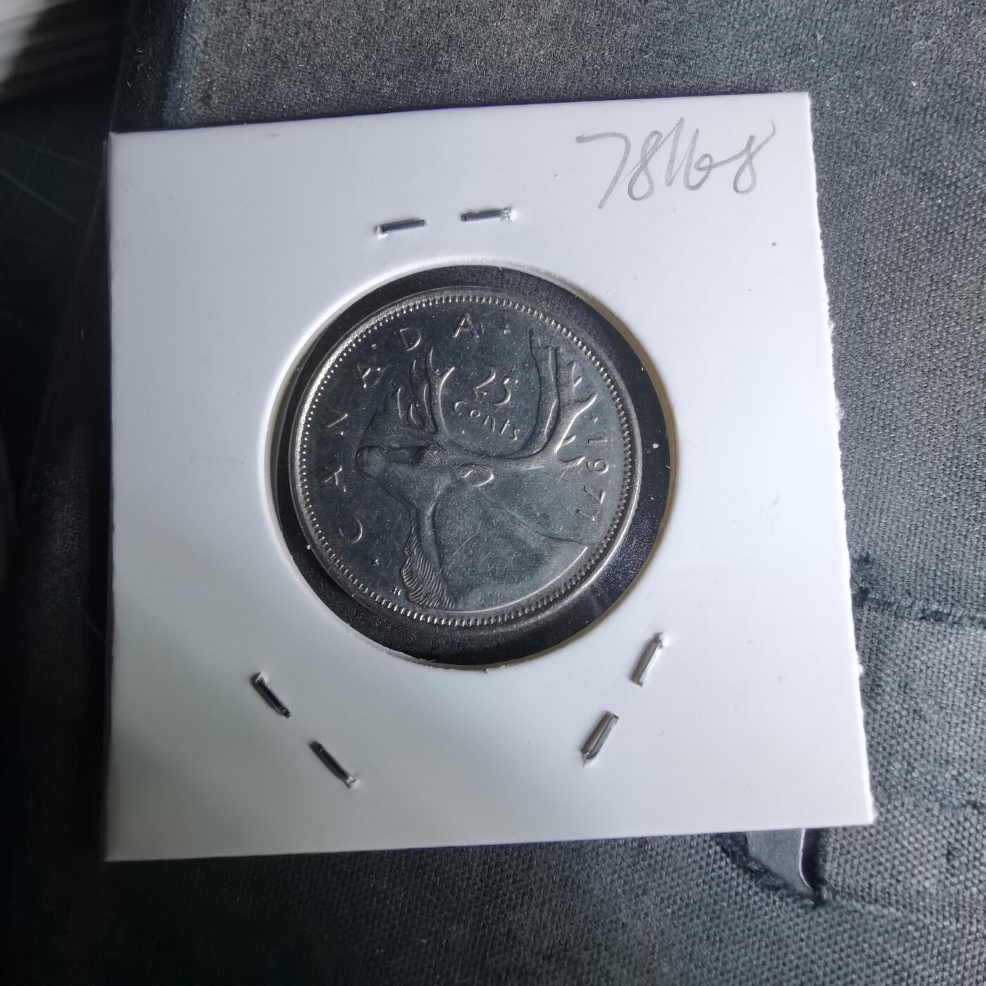 沼泽如烟--第978场