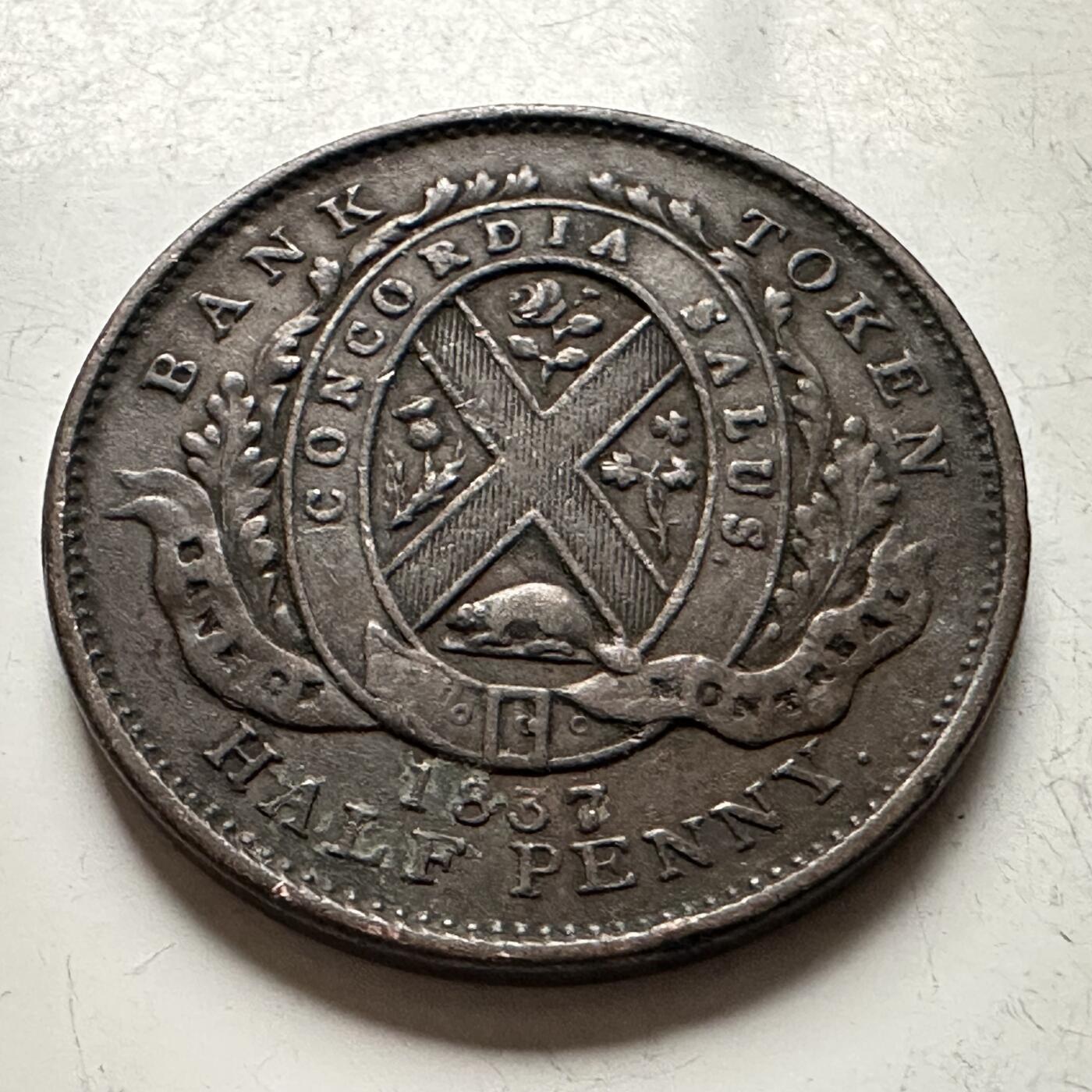 🌹外币初藏🌹🐯2026年第13场  每周二四六晚8️⃣点 接代拍 下加拿大1837年半便士铜币