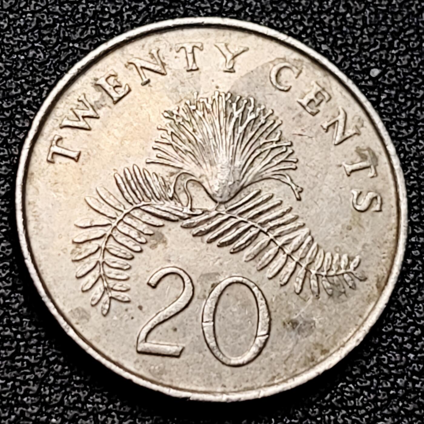 泉币菌-第178场- 精品福利场 。