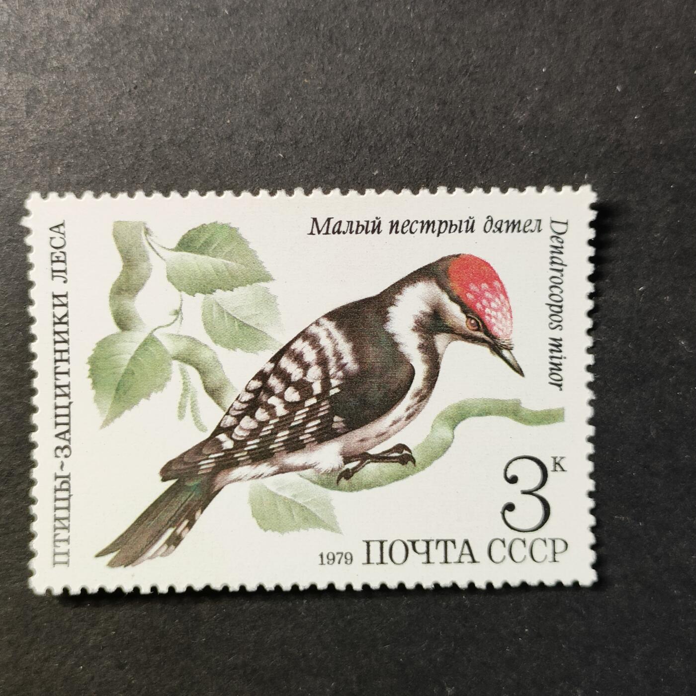 ↓君缘收藏726期☞钱币邮品↓无佣金、可寄存、满30元包邮  苏联邮票