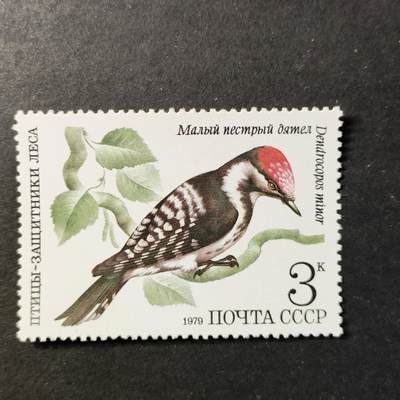 ↓君缘收藏730期☞钱币邮品↓无佣金、可寄存、满30元包邮  - 苏联邮票