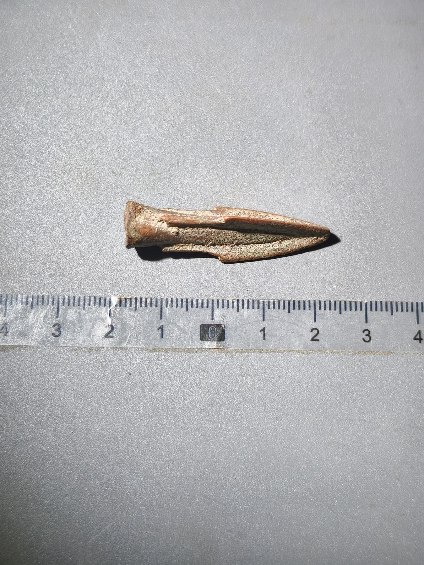 113期新疆红钱粟特钱币丝路钱币专场 草原文化铜箭头