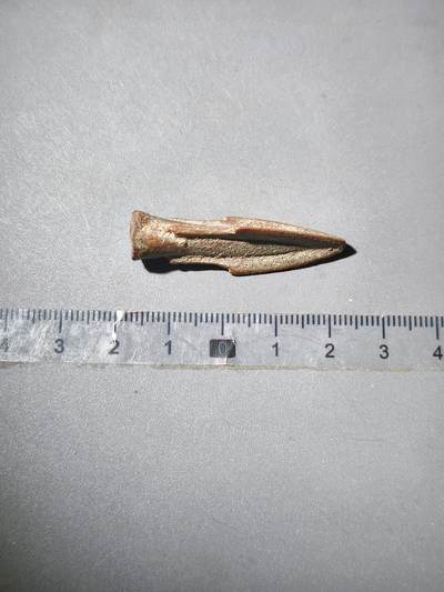 113期新疆红钱粟特钱币丝路钱币专场 - 草原文化铜箭头