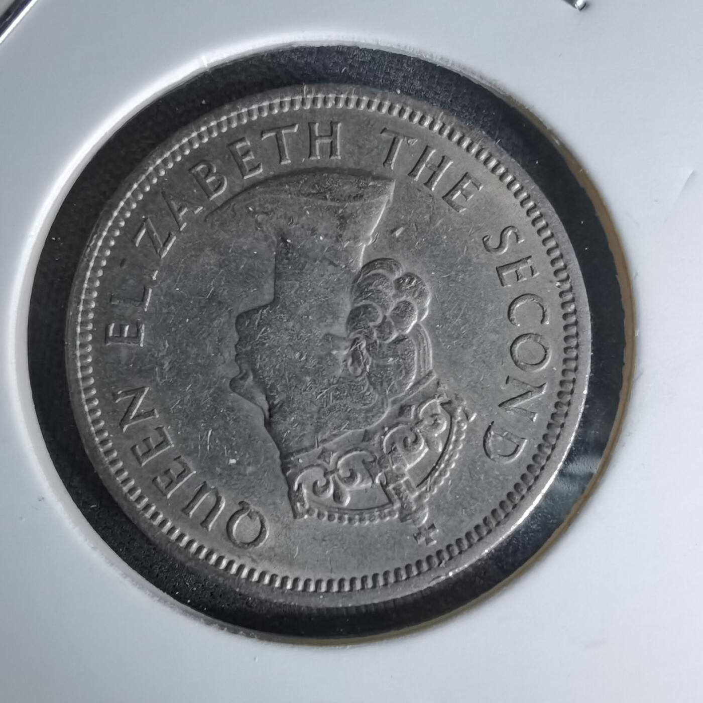 沼泽如烟--第978场