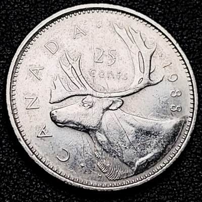 泉币菌-第178场- 精品福利场 - 。