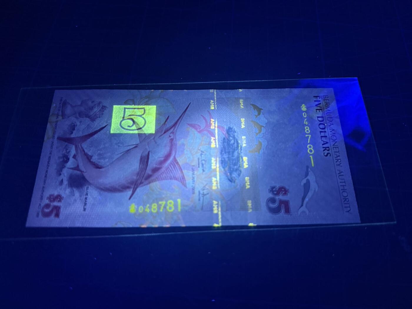 【炜奕收藏】，第五十八期，英属第三场