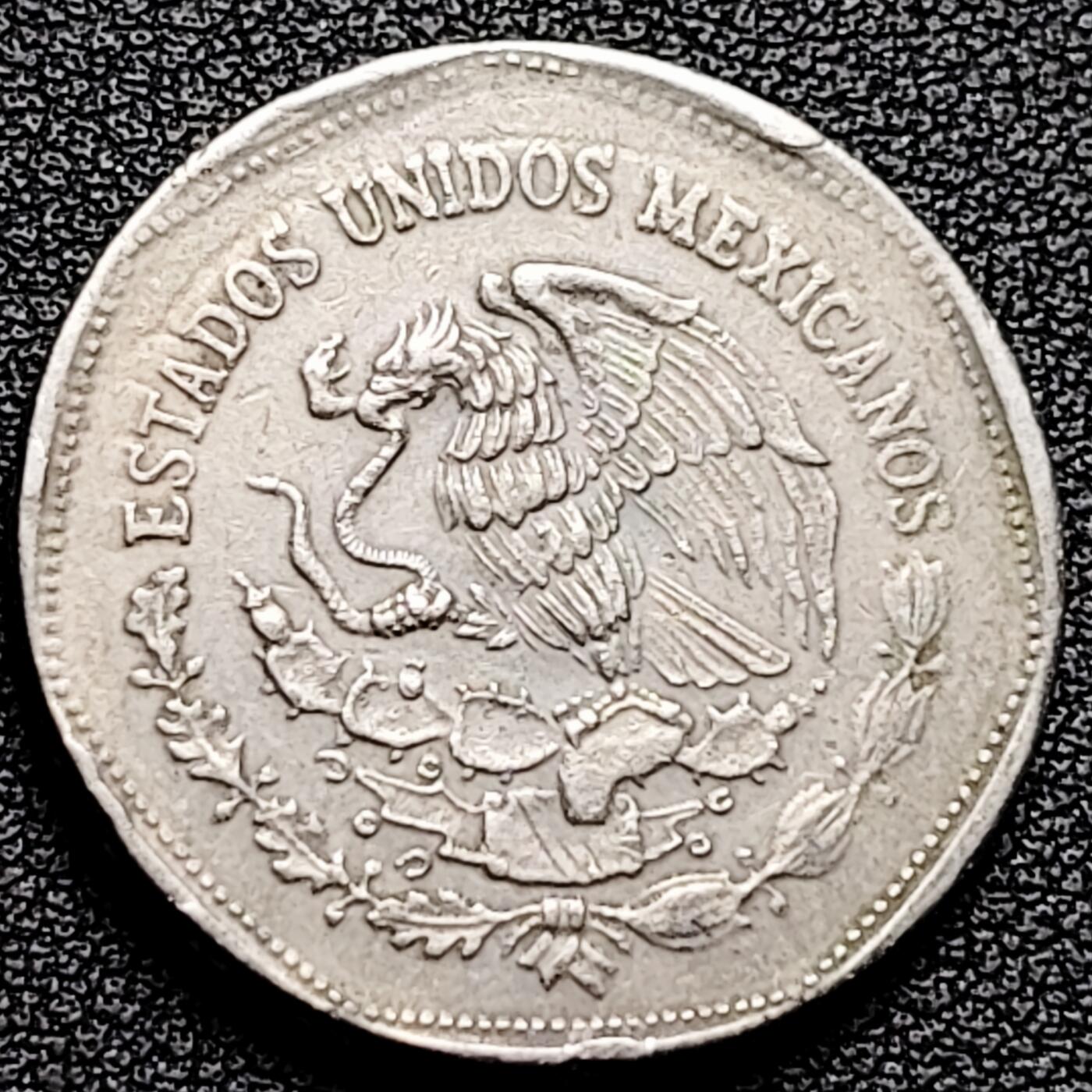 泉币菌-第178场- 精品福利场 。