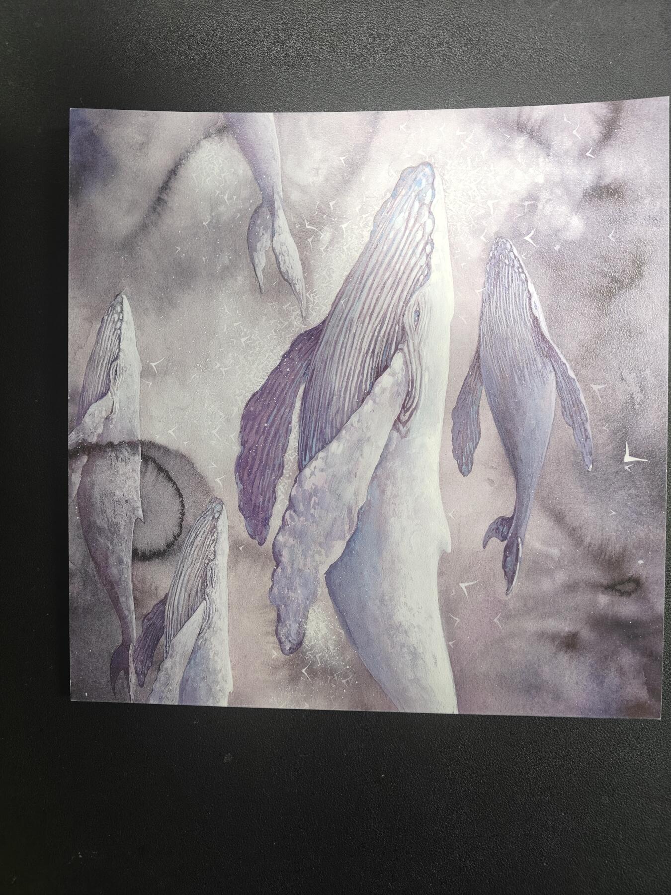 天玑星卡拍第166期《1.29周四截拍》持续收拍收评中 满赠卡需备注