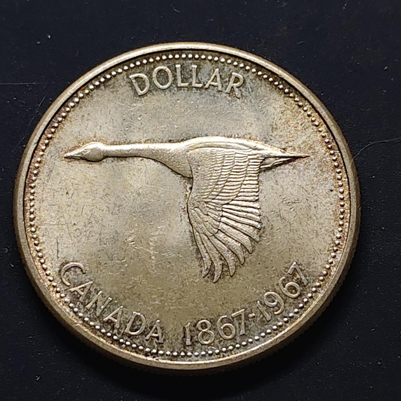 【全场包邮】纯粹捡漏拍499场-持续更新中