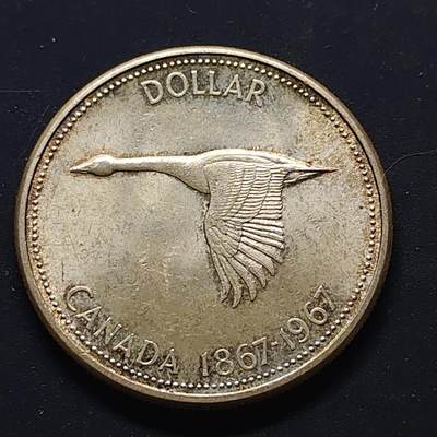 【全场包邮】纯粹捡漏拍499场-持续更新中 - 加拿大1967年1元联邦百年纪念银币【36.06毫米23.32克80%，纯银价约522元（按28元银价折算）】
