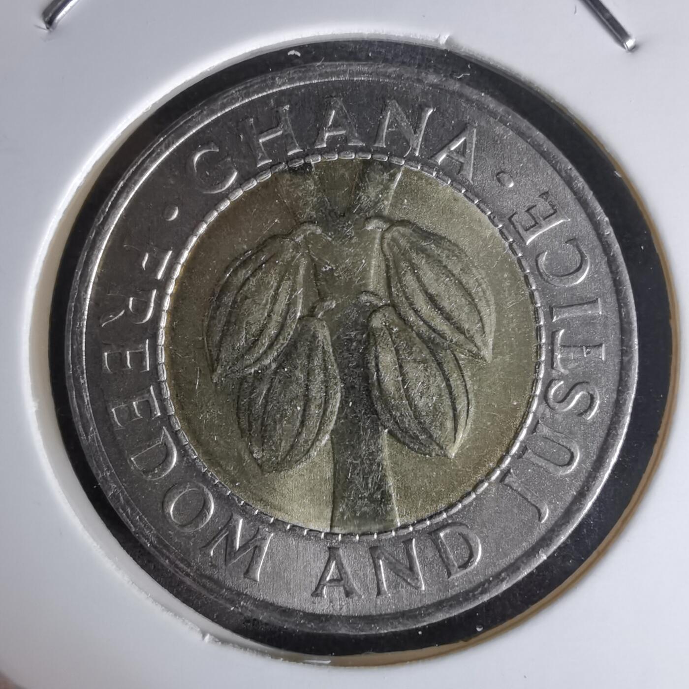 沼泽如烟--第978场