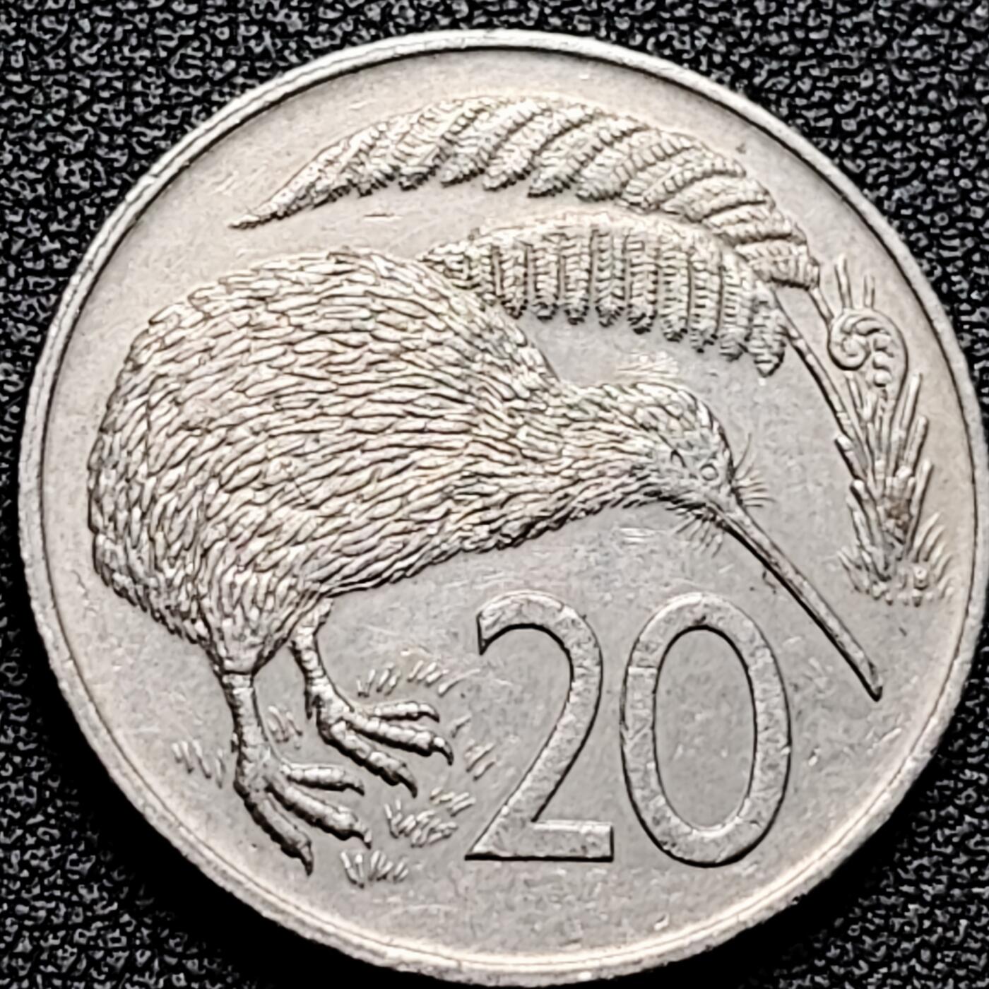 泉币菌-第178场- 精品福利场 。