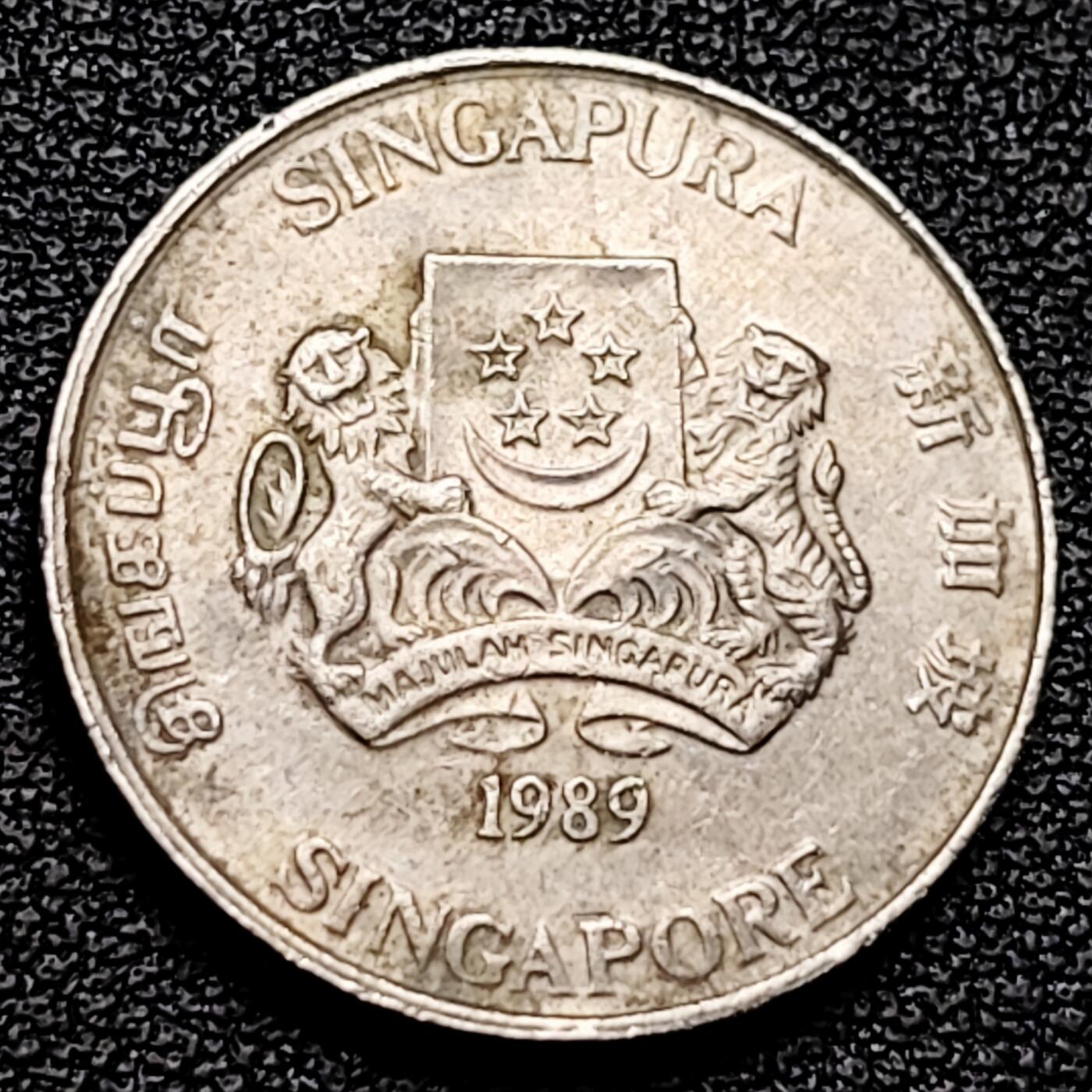 泉币菌-第178场- 精品福利场 。