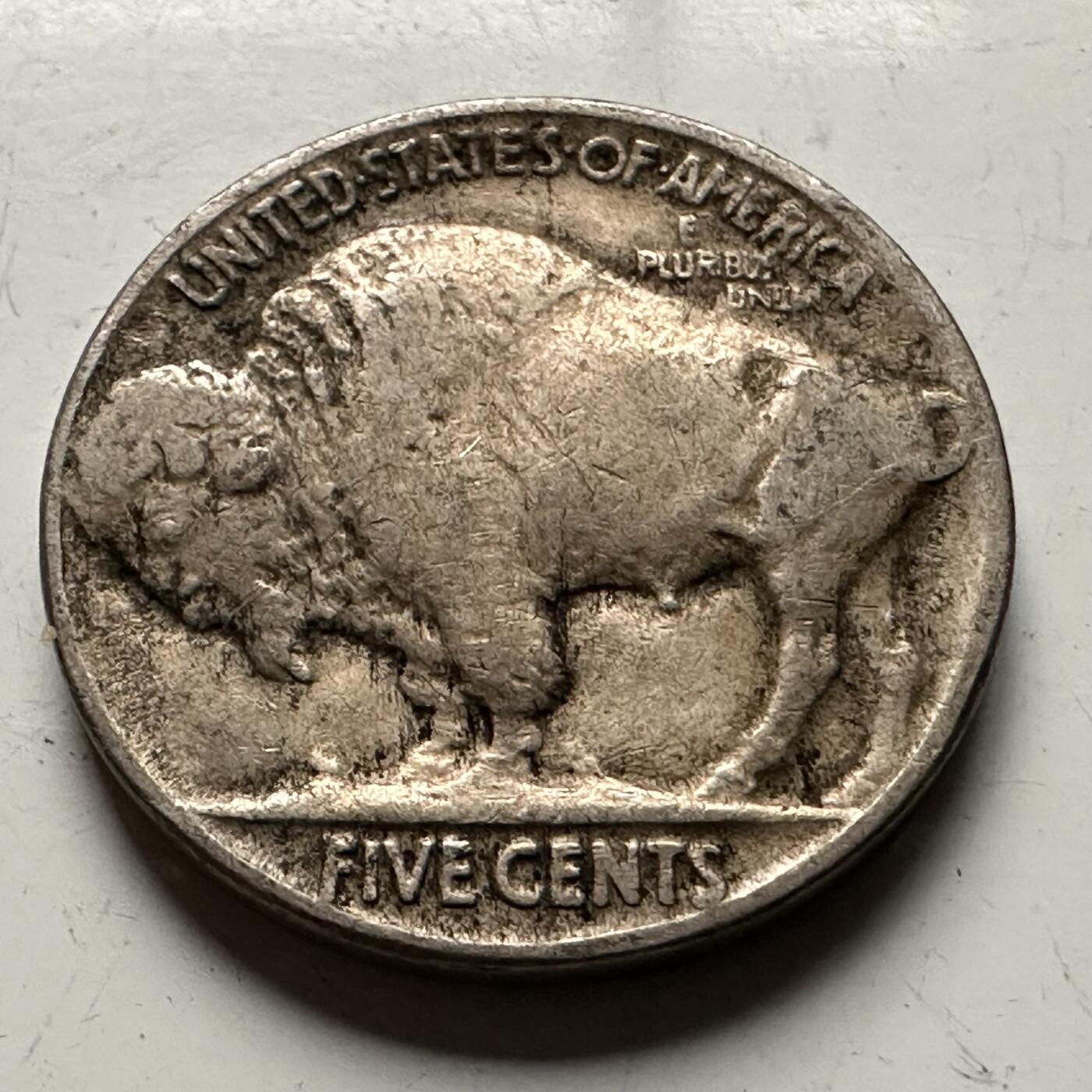 🌹外币初藏🌹🐯2026年第13场  每周二四六晚8️⃣点 接代拍 美国1935年牦牛五分