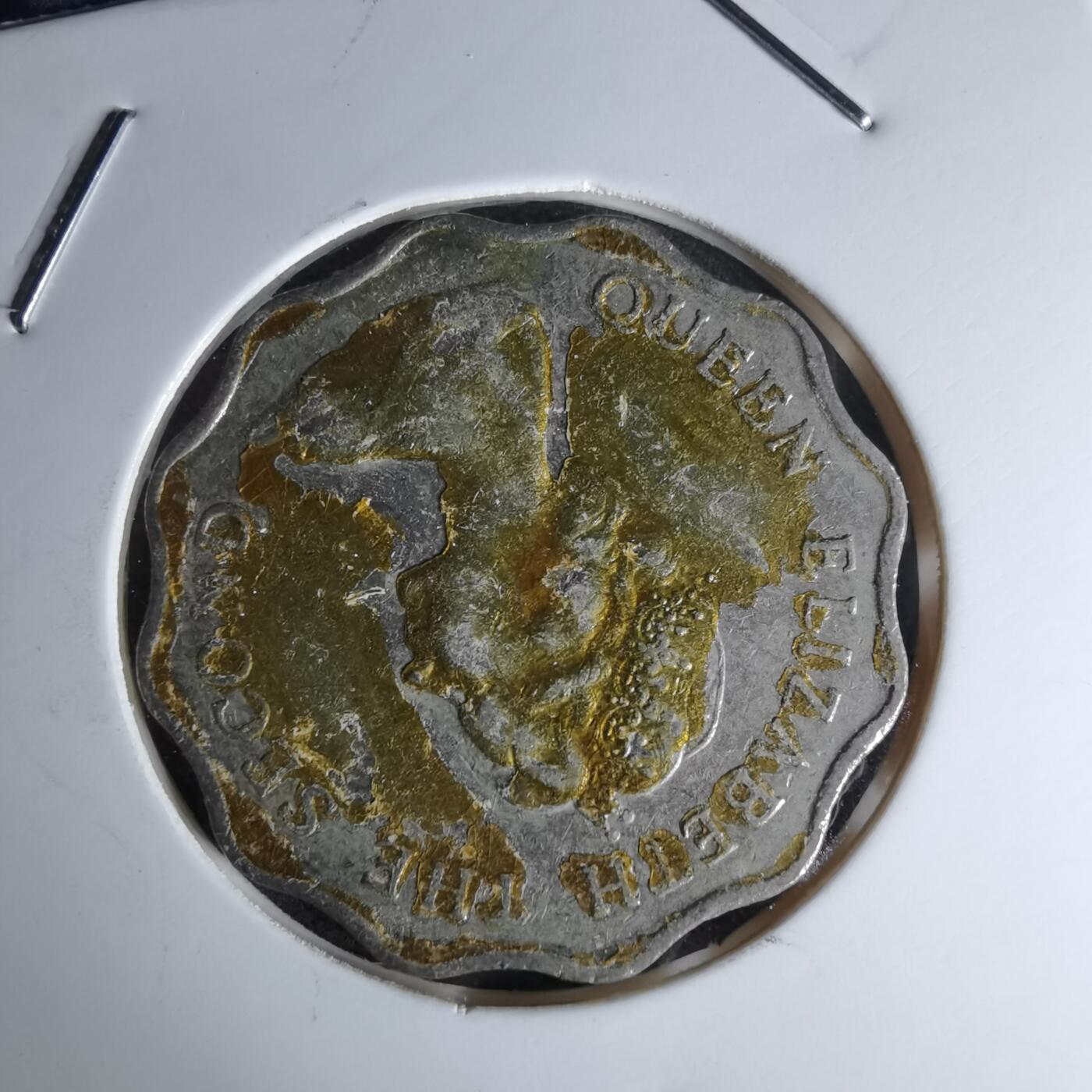 沼泽如烟--第978场 香港1981年二元