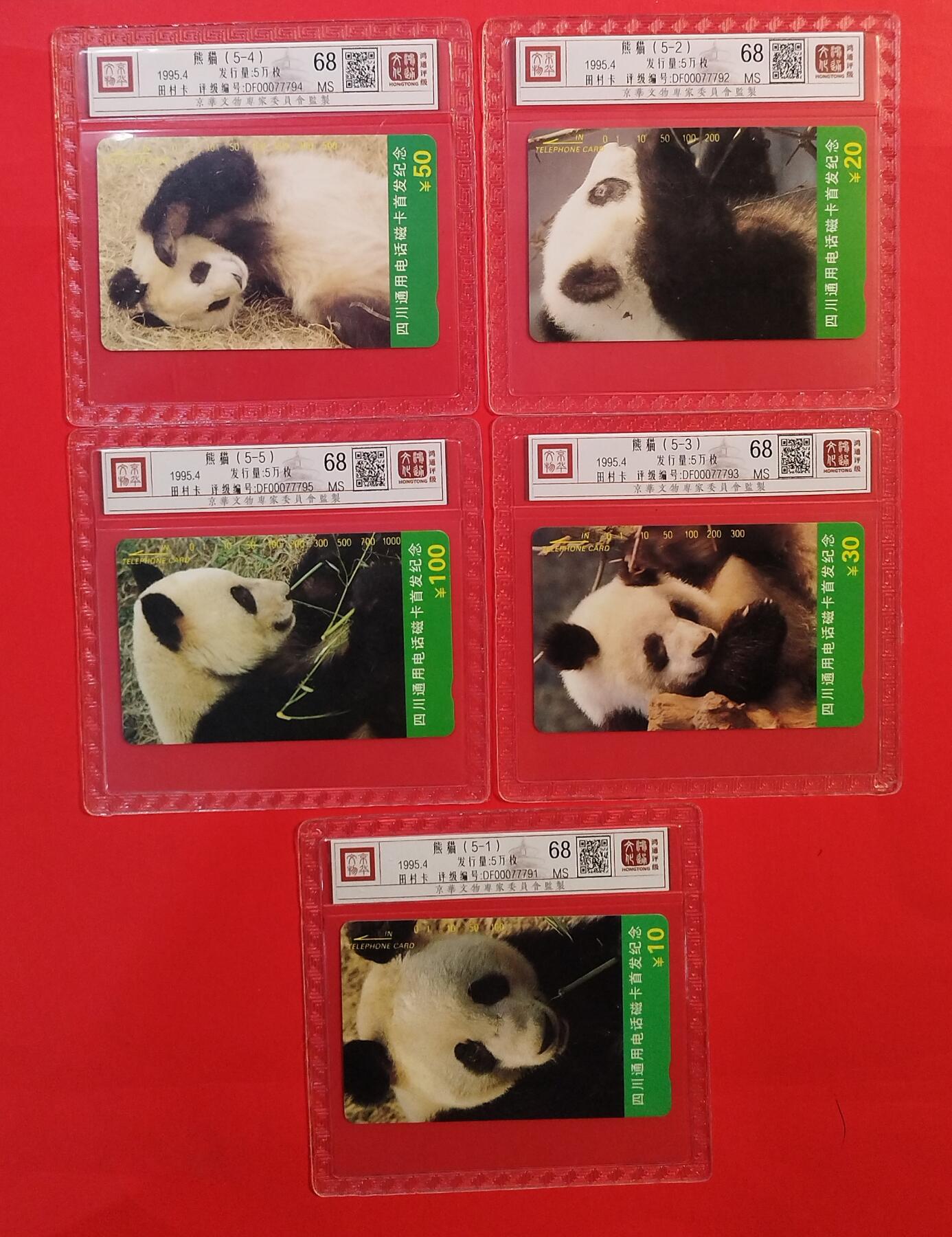 《鸿通俱乐部》拍卖第73期 2026年1月28日21：00延时节拍 四川田村新卡《熊猫-磁卡首发纪念》5全  鸿通  68分*5