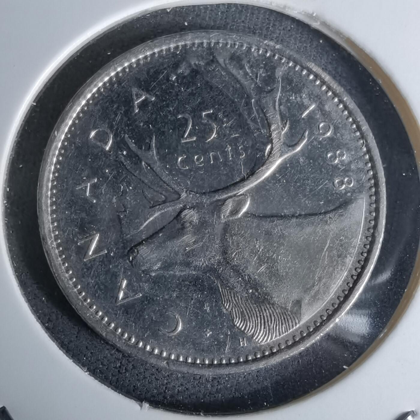 沼泽如烟--第978场