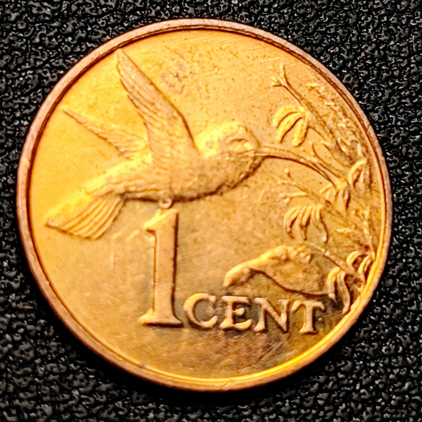 泉币菌-第178场- 精品福利场 。