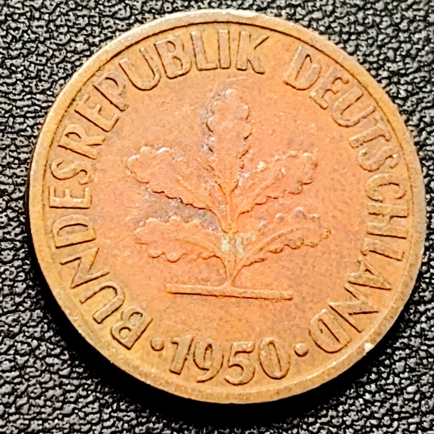 泉币菌-第178场- 精品福利场 。