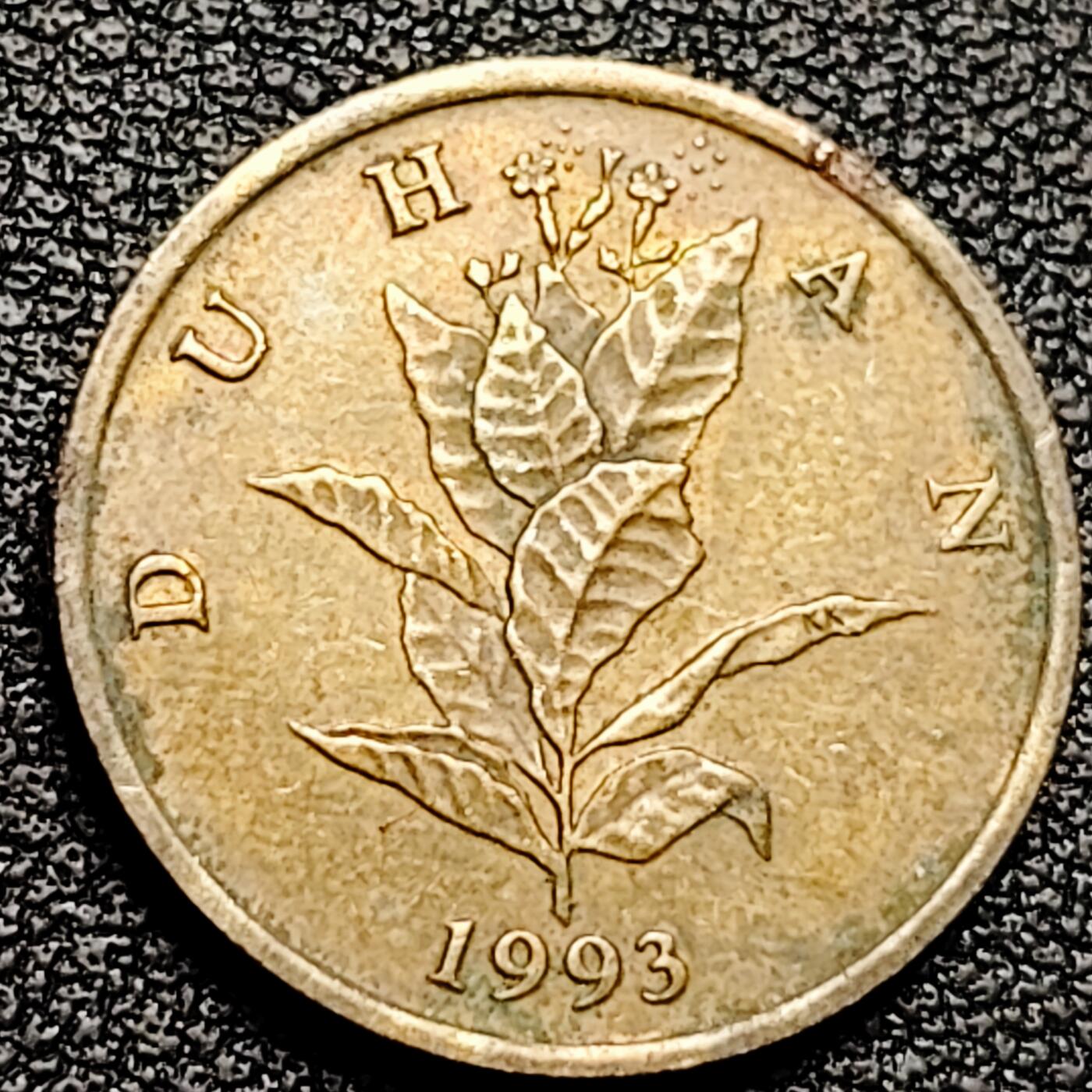 泉币菌-第178场- 精品福利场 。