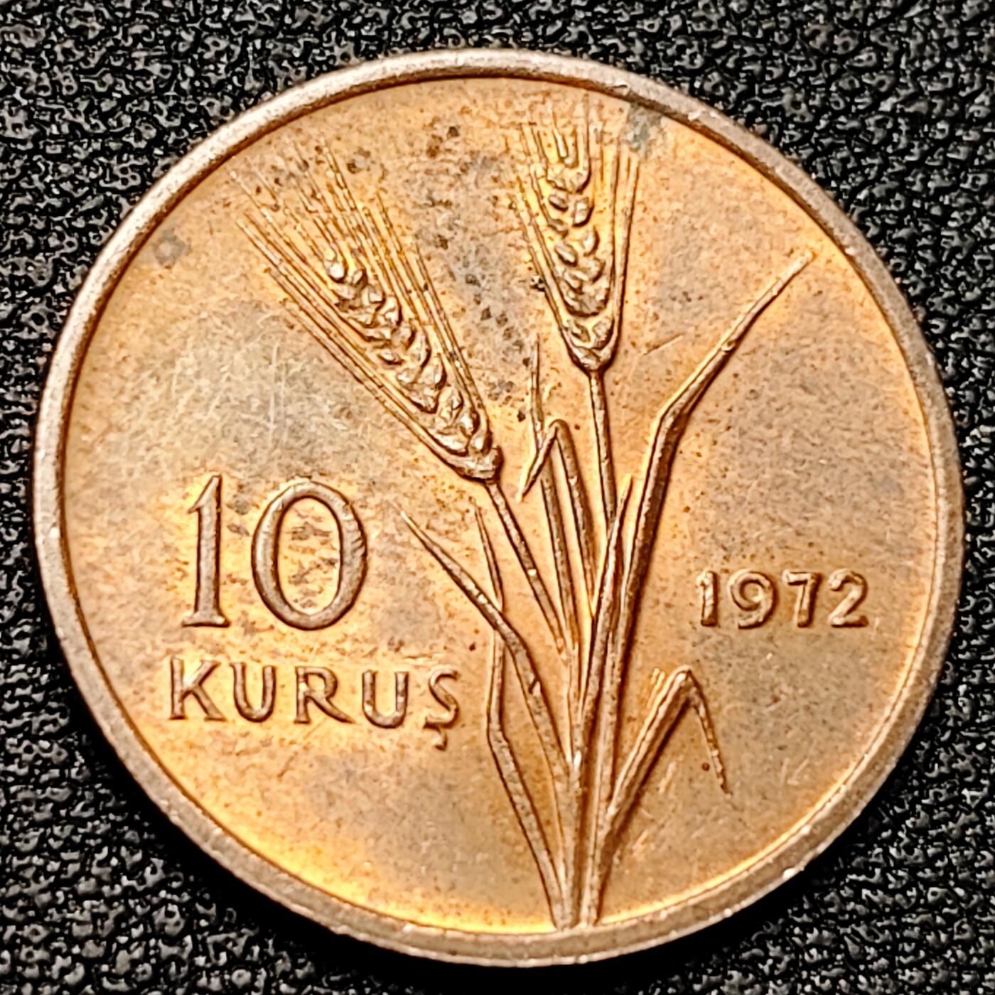 泉币菌-第178场- 精品福利场 。