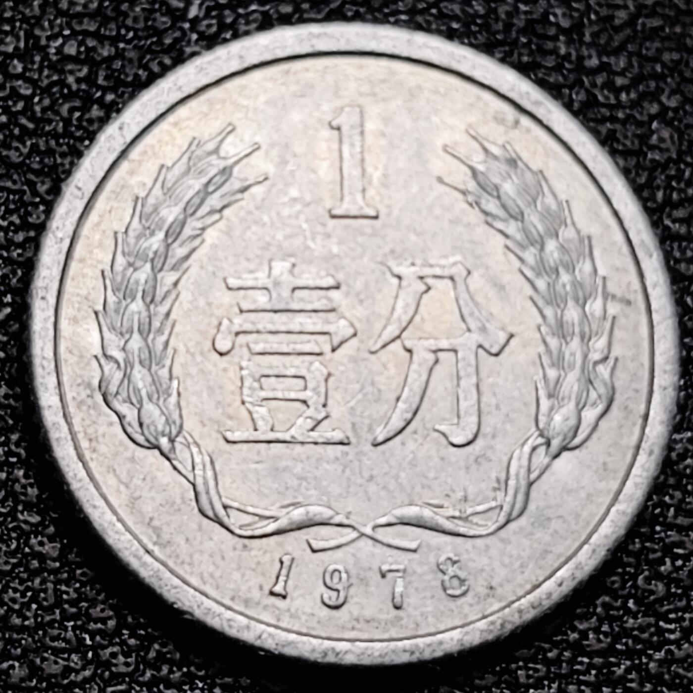 泉币菌-第178场- 精品福利场 。