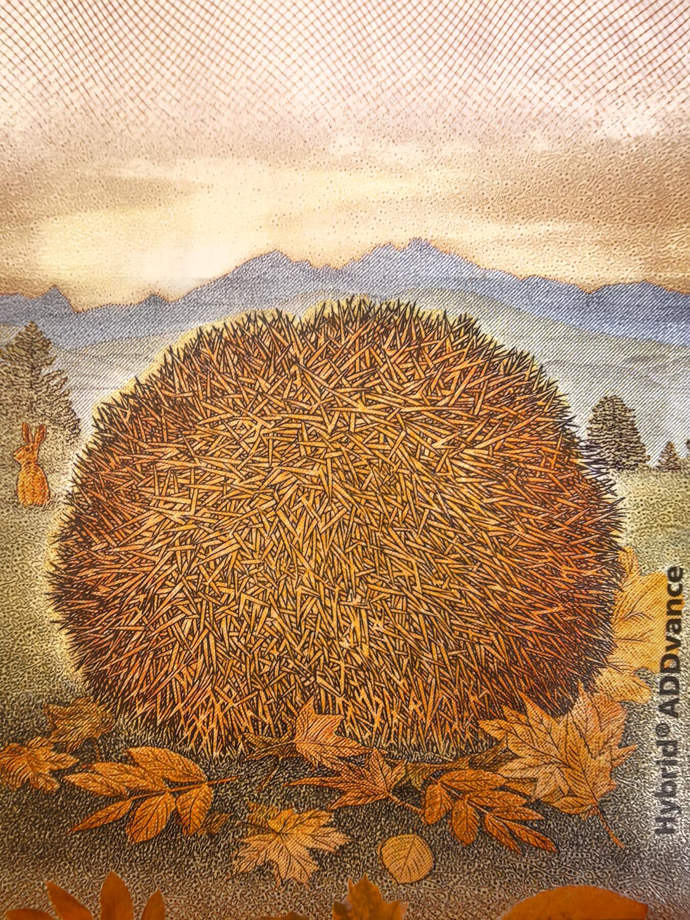 捷德50刺猬测试钞