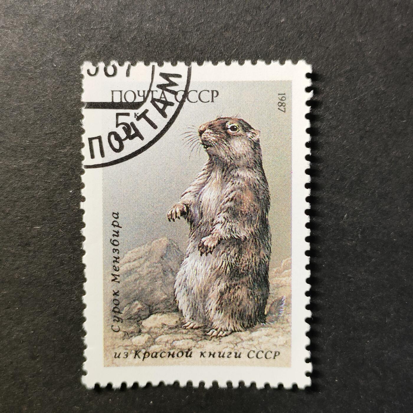 嘉禾收藏    【第452期】            无佣金、可寄存、满30元包邮 苏联邮票