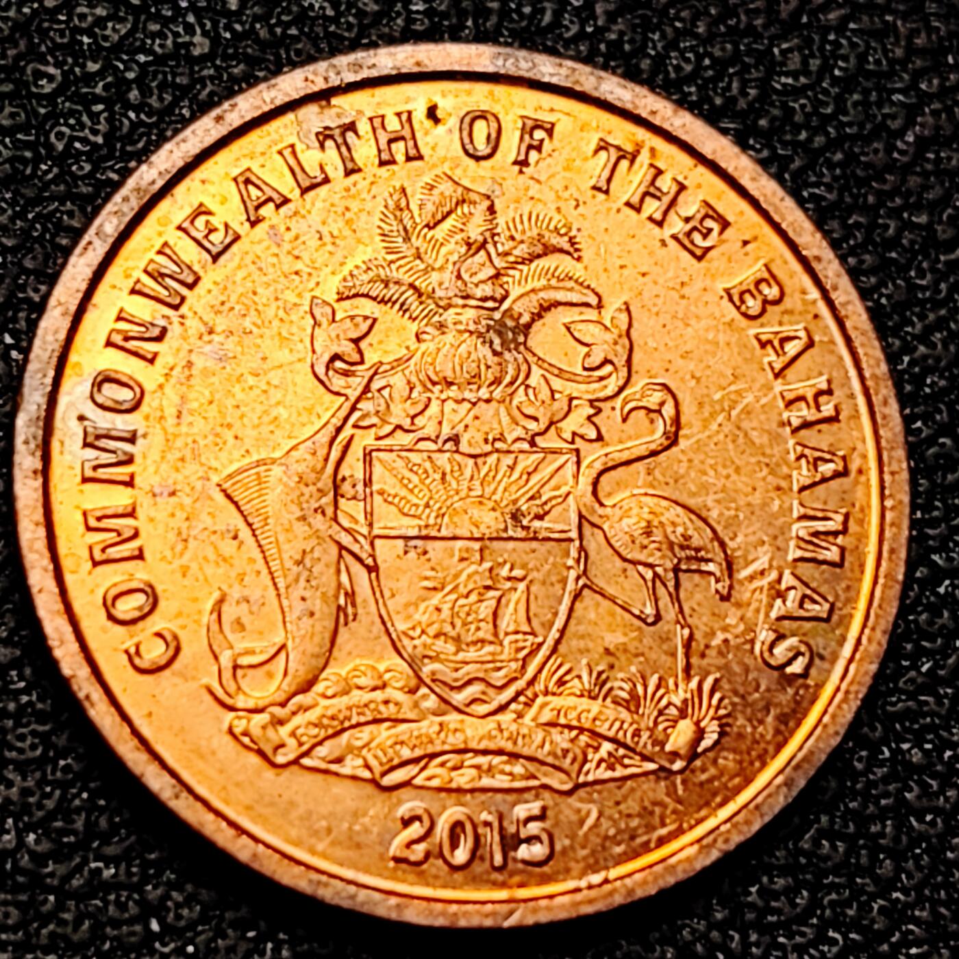 泉币菌-第178场- 精品福利场 。