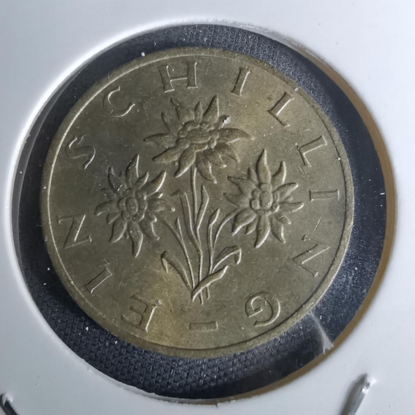 沼泽如烟--第978场