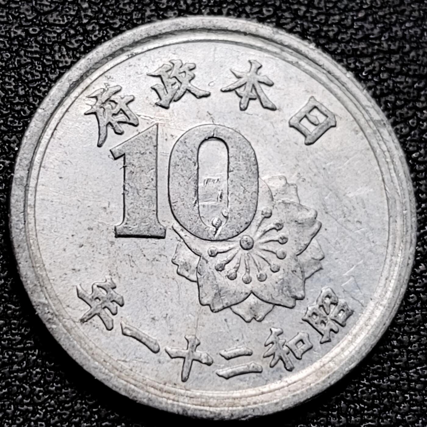 泉币菌-第178场- 精品福利场 。