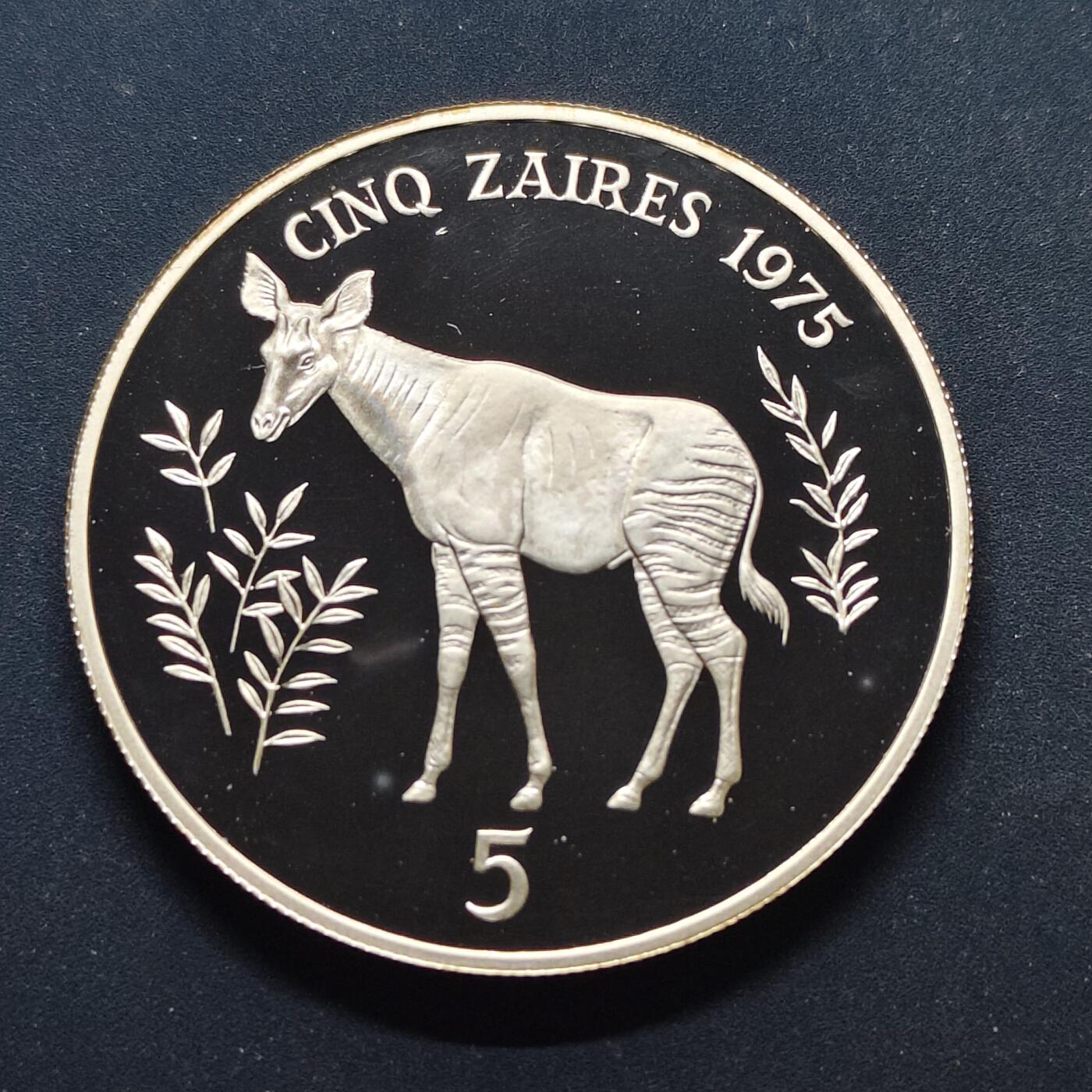 【全场包邮】纯粹捡漏拍499场-持续更新中 扎伊尔