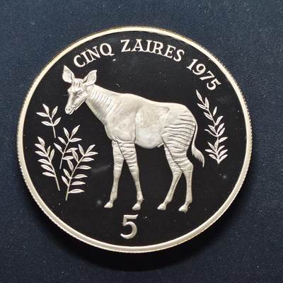 【全场包邮】纯粹捡漏拍499场-持续更新中 - 扎伊尔