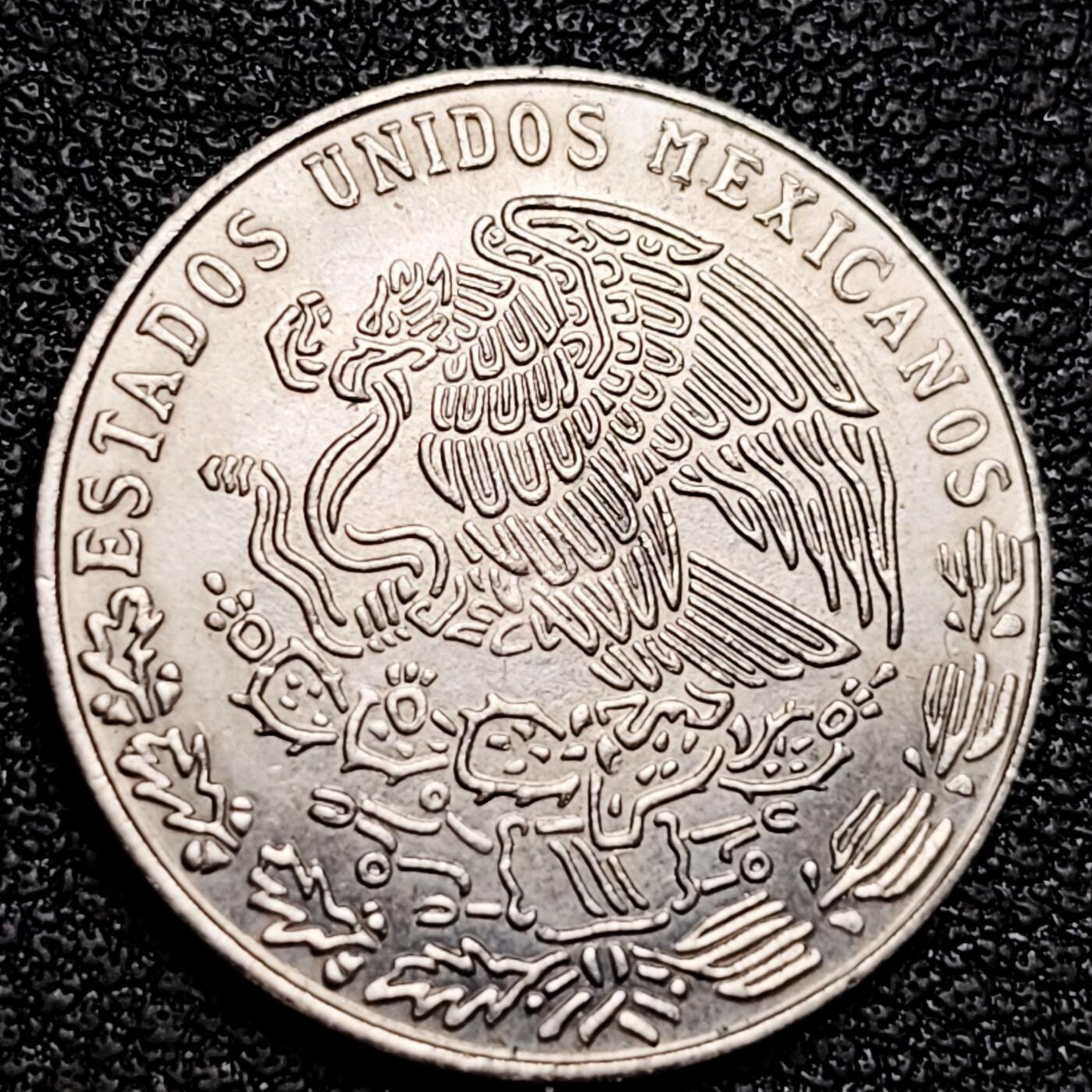 泉币菌-第178场- 精品福利场 。