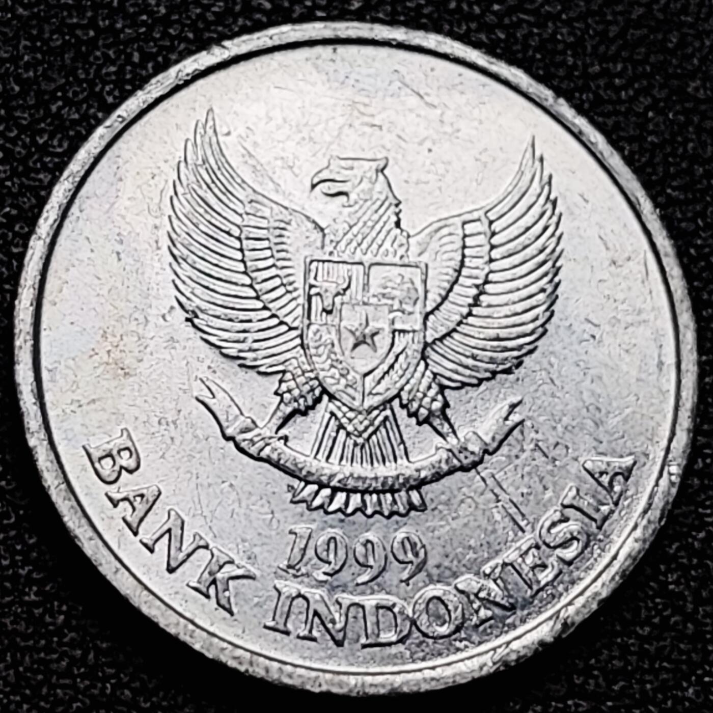 泉币菌-第178场- 精品福利场 。