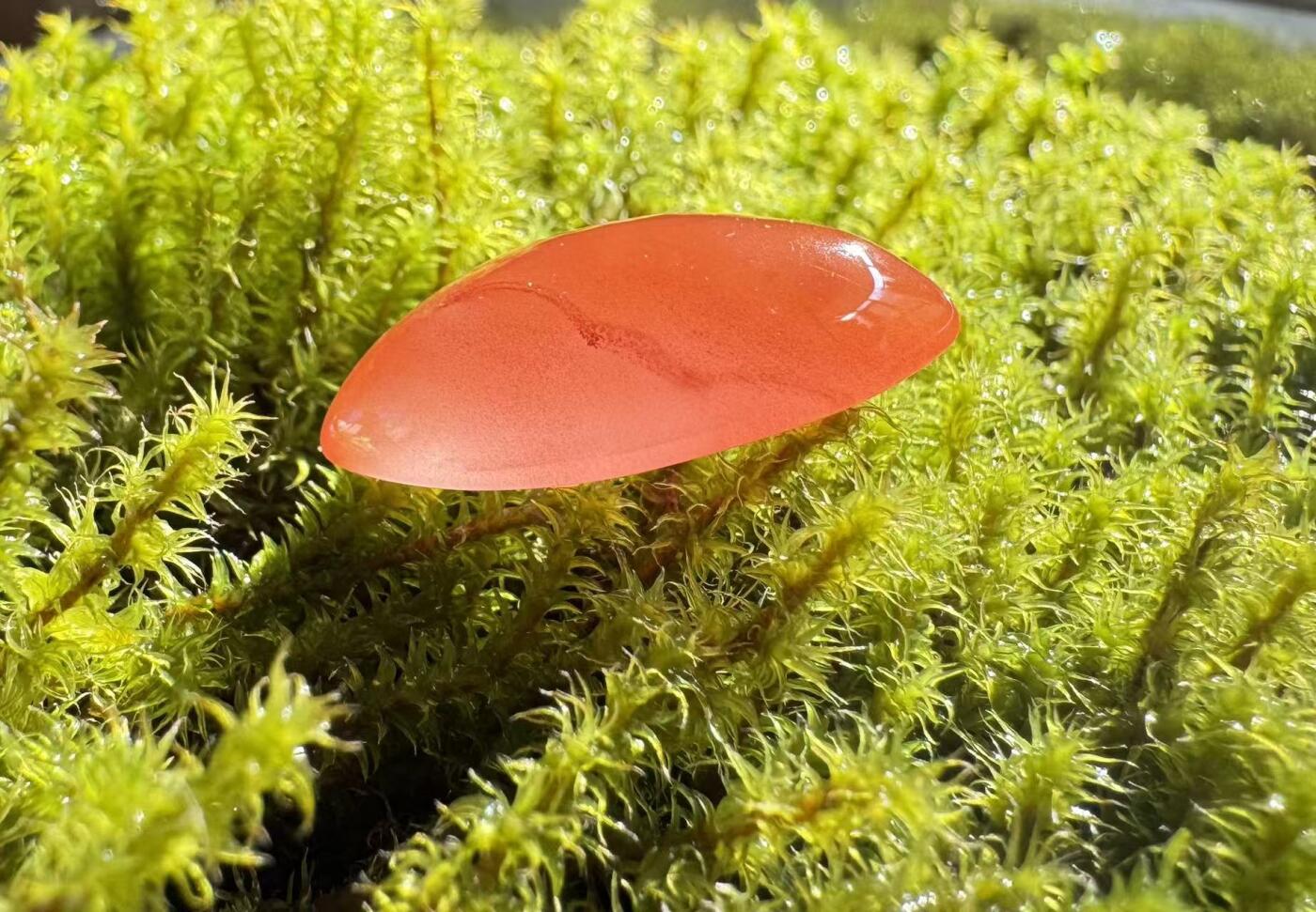 零元拍：南红玛瑙蛋面，都是十多年前的存货了，长约 22.3/11.5/7.2MM ，因为拍照环境以及光线的变化，颜色以实物为准。