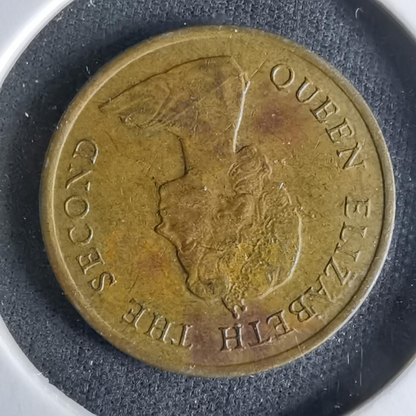 沼泽如烟--第979场 香港1982年一毫