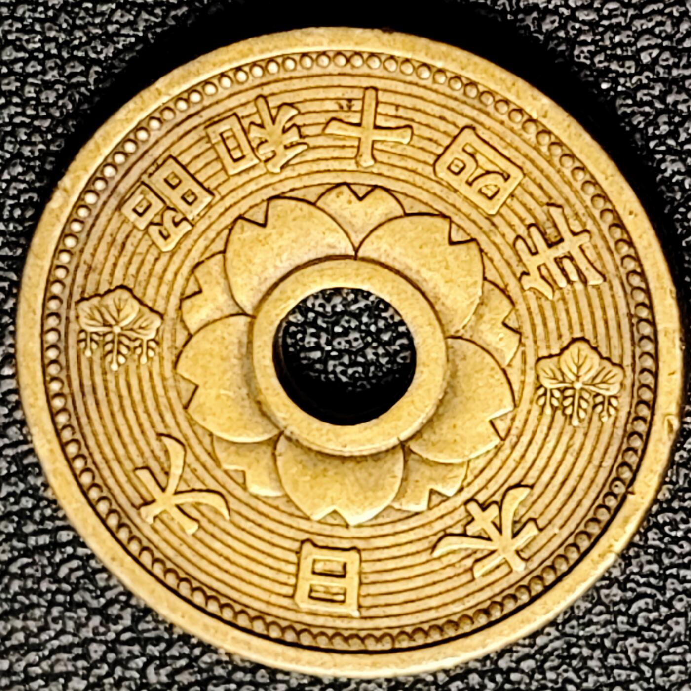 泉币菌-第178场- 精品福利场 。