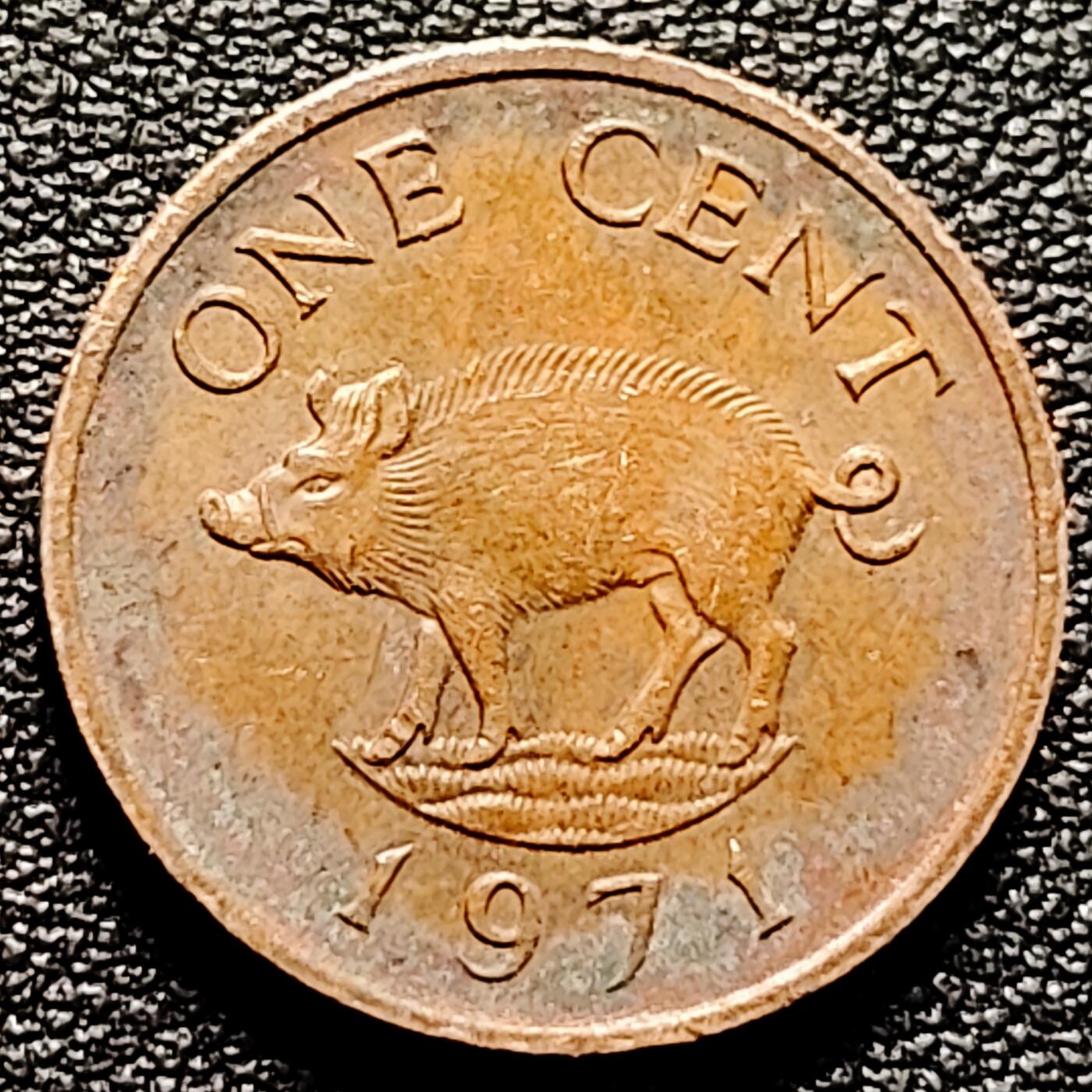 泉币菌-第178场- 精品福利场 。