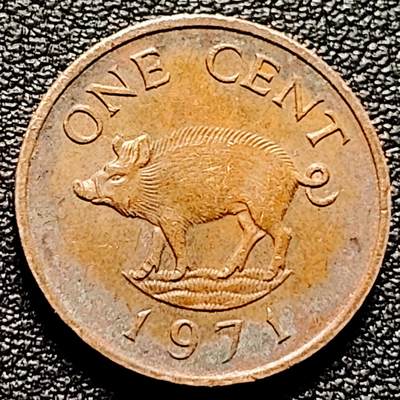 泉币菌-第178场- 精品福利场 - 猪 英属百慕大1分镀铜硬币 女王钱币 1971年 19毫米 3.1克