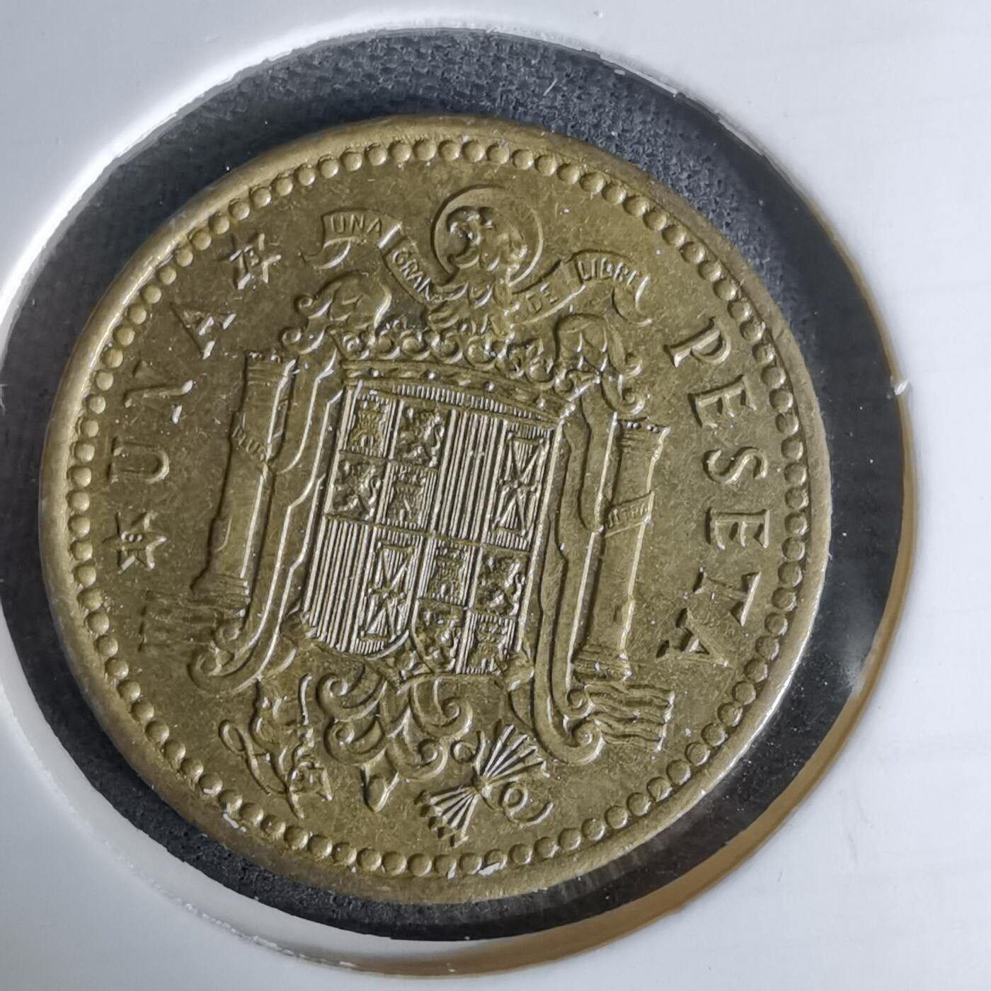 沼泽如烟--第978场