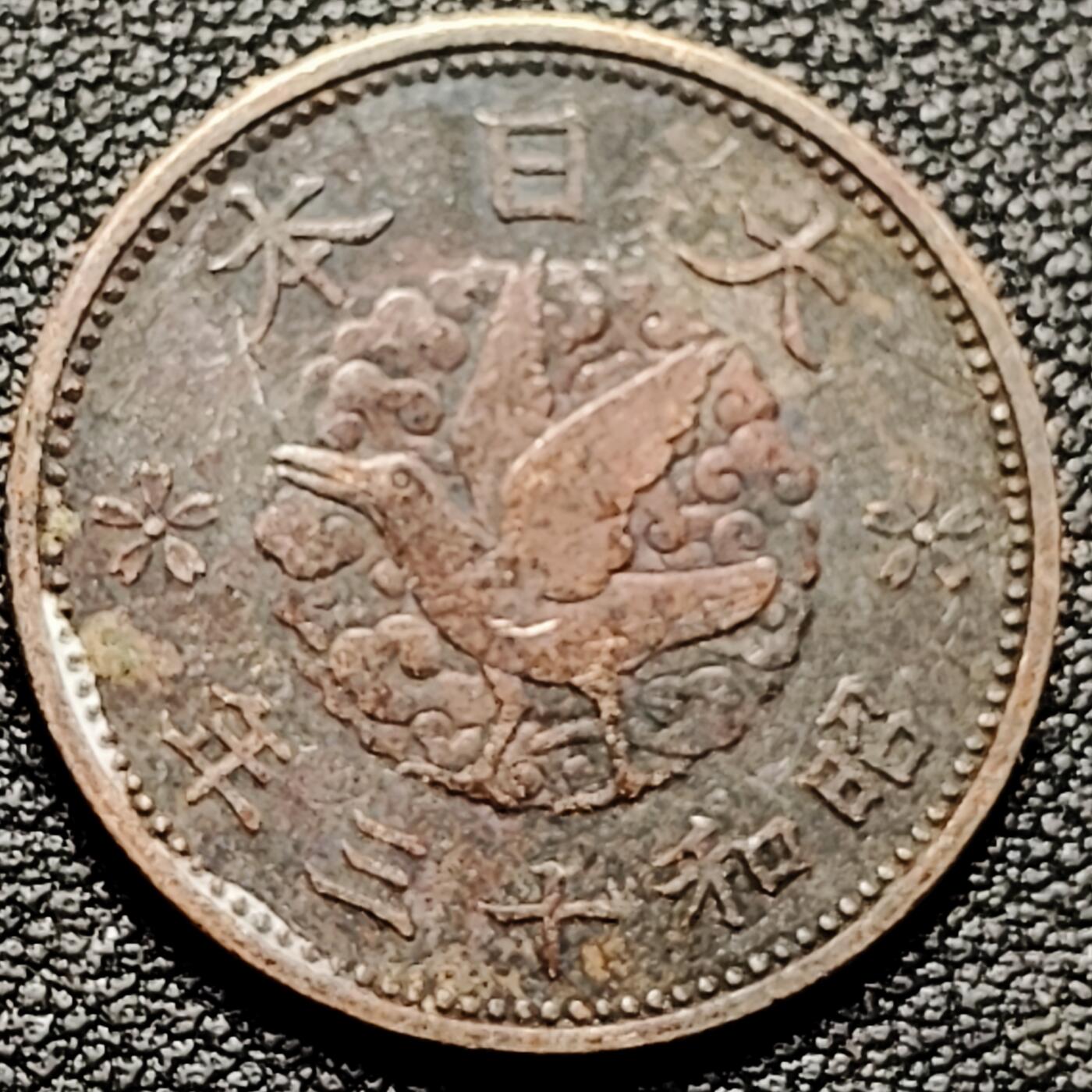 泉币菌-第178场- 精品福利场 。