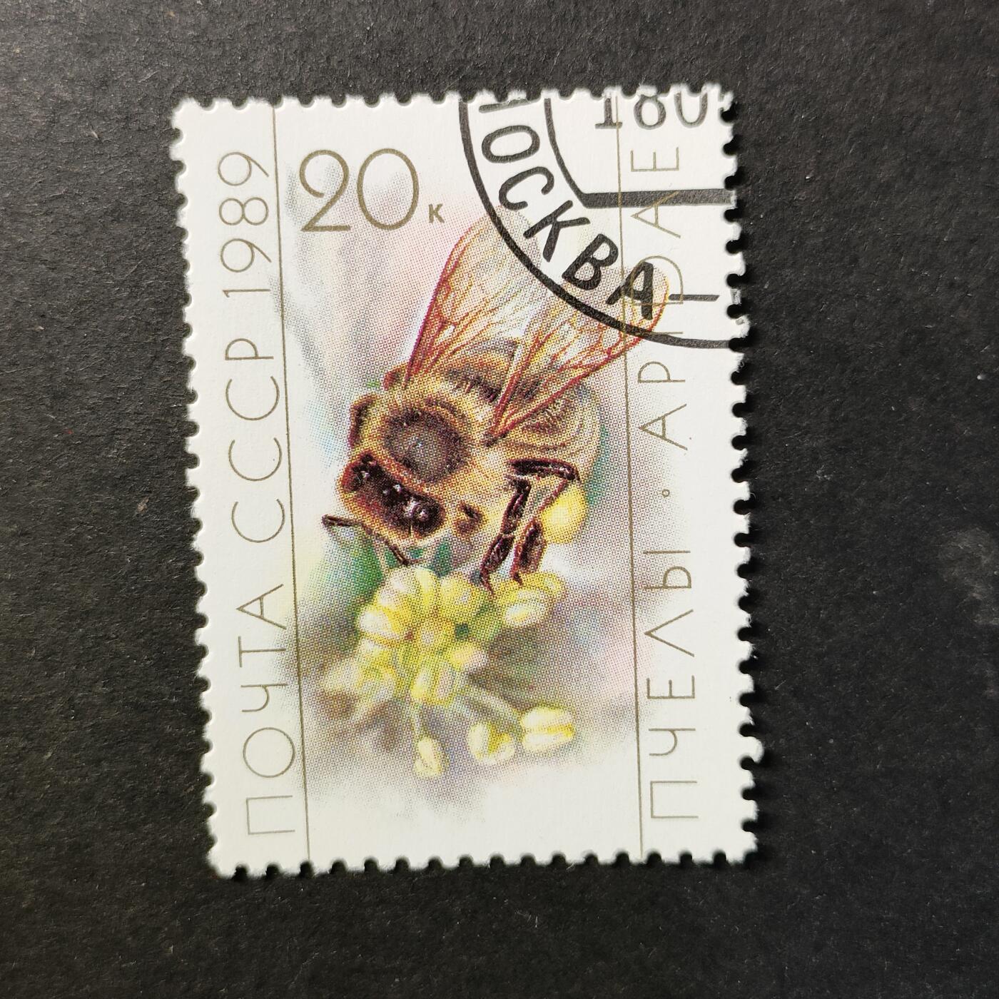 嘉禾收藏    【第452期】            无佣金、可寄存、满30元包邮 苏联邮票