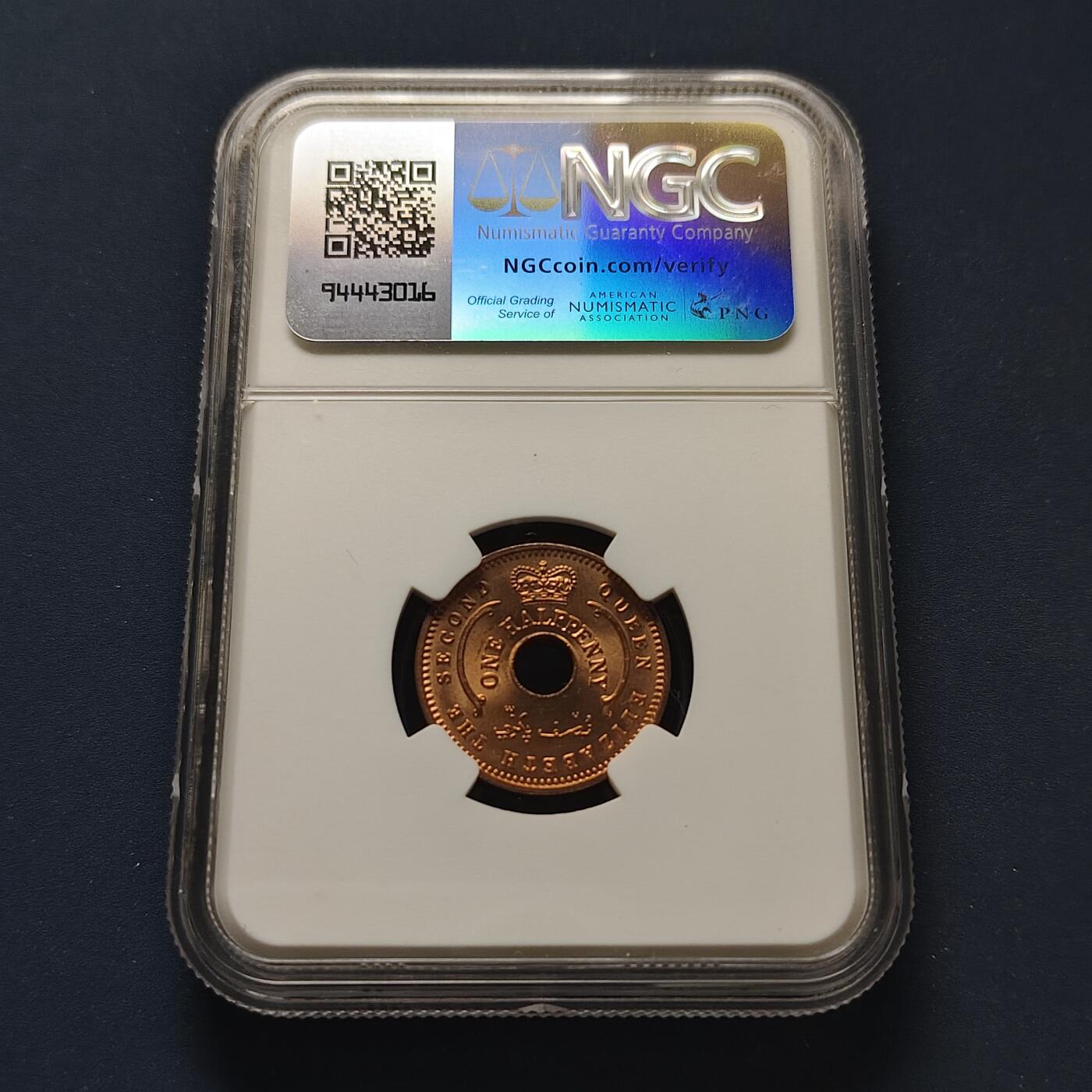 【全场包邮】纯粹捡漏拍499场-持续更新中 尼日利亚