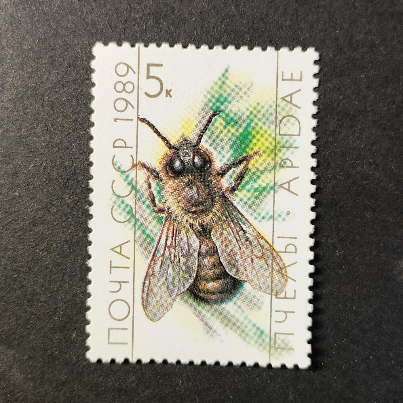 嘉禾收藏    【第452期】            无佣金、可寄存、满30元包邮