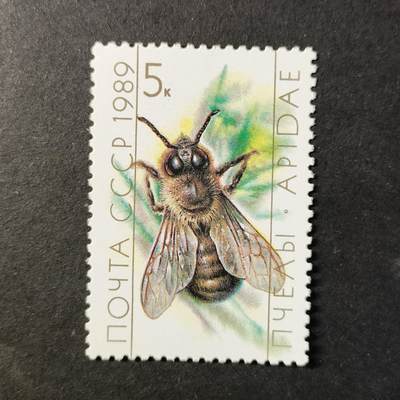 嘉禾收藏    【第452期】            无佣金、可寄存、满30元包邮 - 苏联邮票